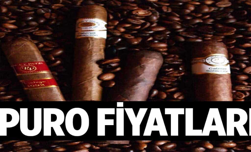 Puro Fiyatlari 1024x622Vjx.jpg