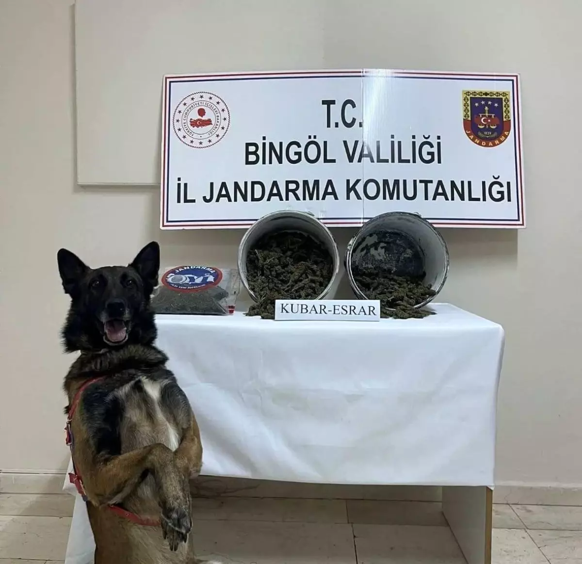 bingolde uyusturucu operasyonu 2 kilo esrar ele gecirildi 7xiPIjOB.jpg
