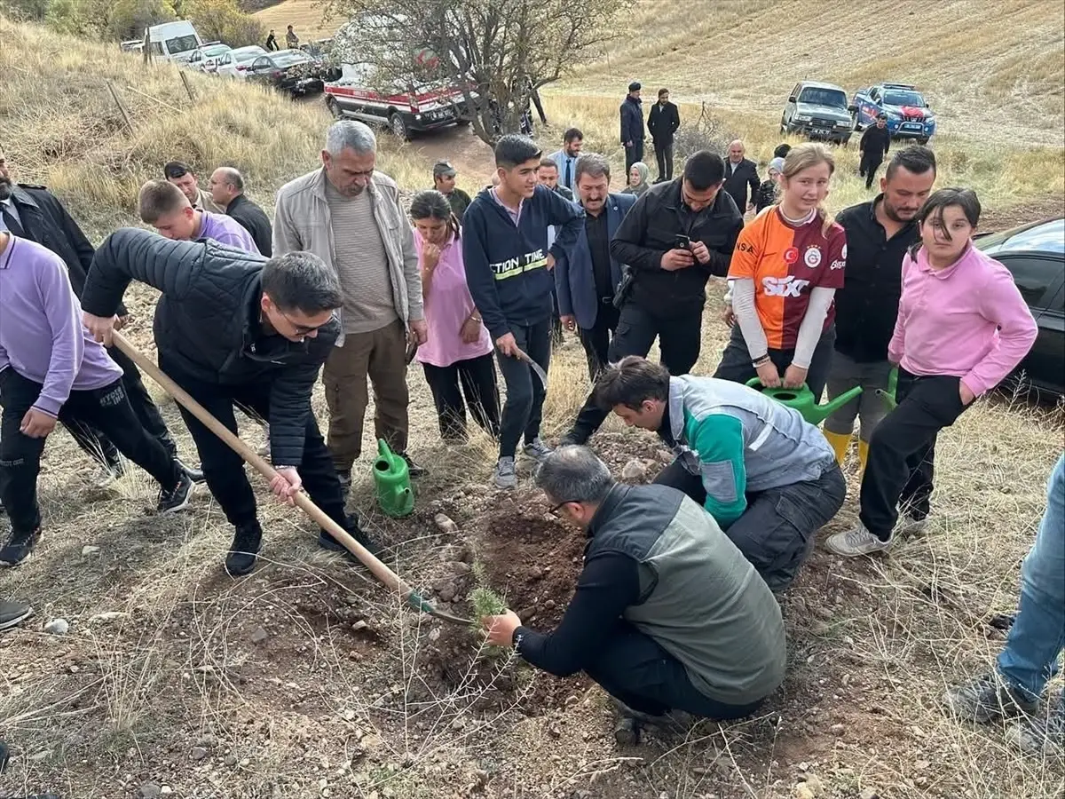 cumhuriyetin 102 yili icin 102 fidan dikildi qAPfdNIQ.jpg